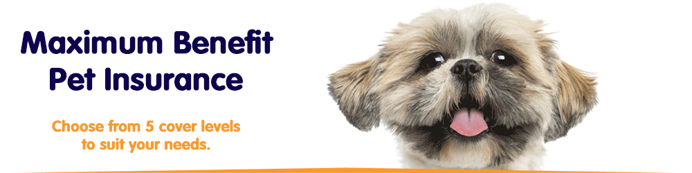 Maximum Benefit Cover - Choose from 5 cover levels to suit your needs.